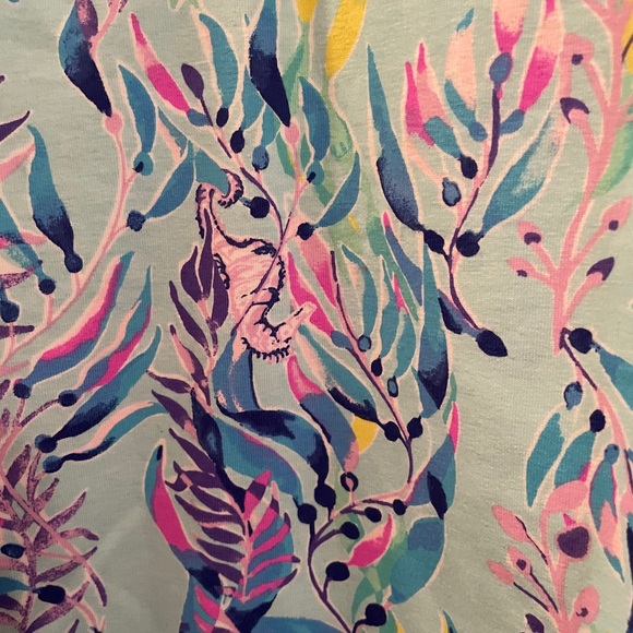 Lilly Pulitzer dress - Picture 3 of 4